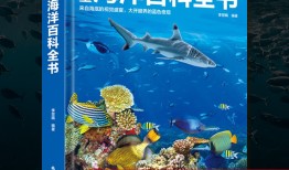 百科全书，知识的海洋与学术的宝库