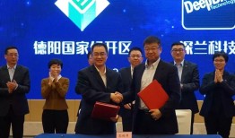 熊猫形象的知识产权保护与打假行动