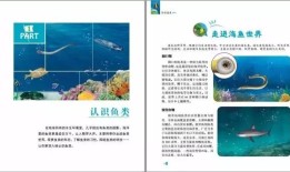 探索知识的海洋，百科平台软件推荐