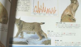 小学生百科常识100题，动物篇
