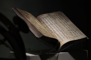中国文化知识大全题库电子版，探索中华文明的数字宝库