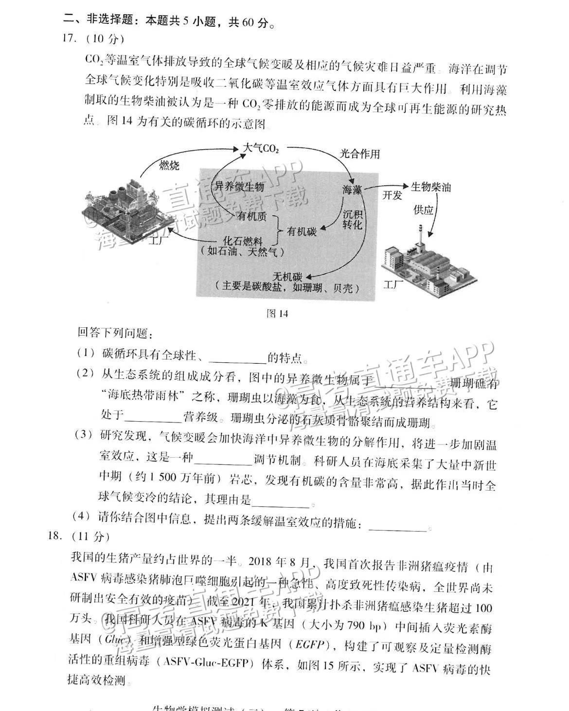 动物百科，题目及答案解析