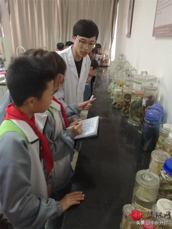 及答案大全，探索动物世界的奥秘