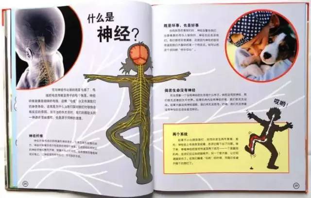 百科全书，探索知识的无限可能
