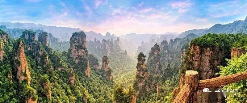 中央电视台域名，连接中国与世界的桥梁
